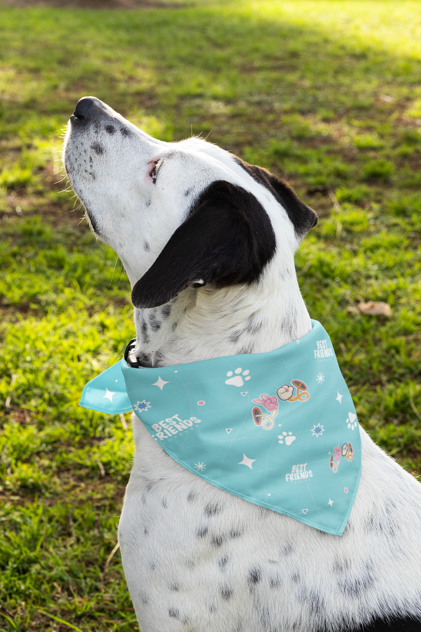 BEST FRIENDS BANDANA