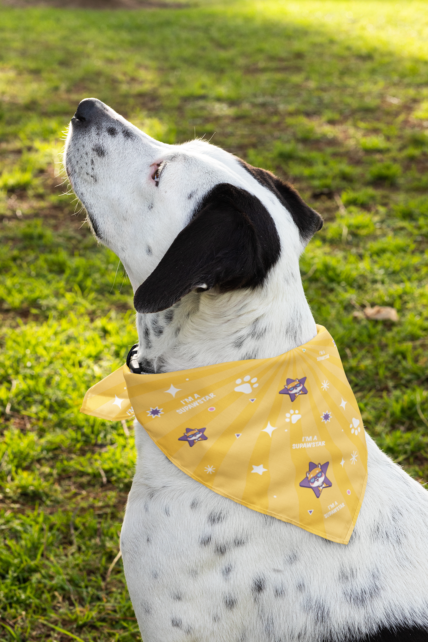 IAM SUPEWSTAR BANDANA